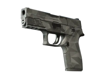 P250 | Facets (Field-Tested)