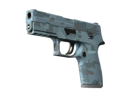 P250 | Forest Night (Factory New)