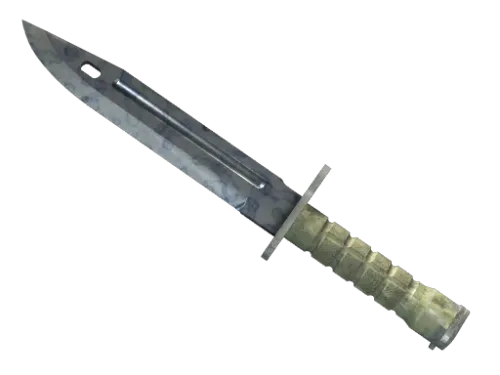 ★ Bayonet | Stained (Factory New)