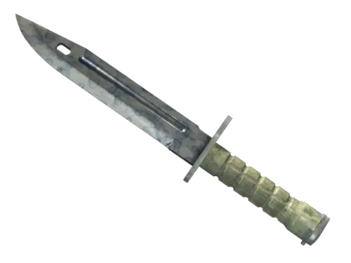 ★ Bayonet | Stained (Well-Worn)