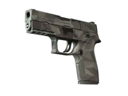 P250 | Facets (Well-Worn)