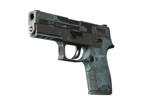 P250 | Forest Night (Battle-Scarred)