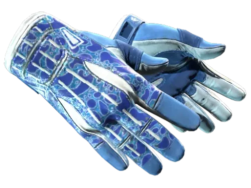 ★ Sport Gloves | Amphibious (Minimal Wear)
