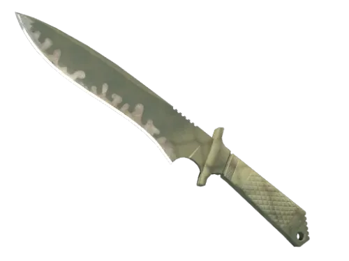 ★ StatTrak™ Classic Knife | Safari Mesh (Well-Worn)