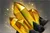 Fnatic