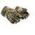 Skin's image