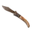 Skin's image