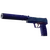 Skin's image