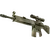 Skin's image