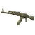 Skin's image