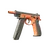 Skin's image