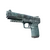 Skin's image