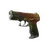 Skin's image