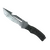 Skin's image