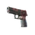 Skin's image