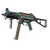 Skin's image