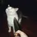 ♛Друг Иисуса♥