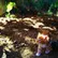 Kael_64659