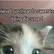 SusBoy_TV