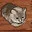 max.ver4765