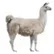 llama20393