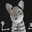 kuko_xx