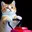 merryprankster333