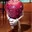 Gameco_LP