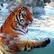 Subhash