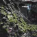 Brokengardener6369