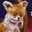 SuperTails