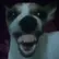 Pepega#1961