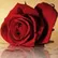 Carrie