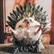 hedgehog160180