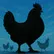 AYAM SUMANI