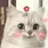 〜♡॰𝑳𝒐𝒕𝒖𝒔