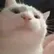 ΩSynΩ