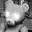 buny