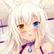/sh_Tray