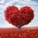 Nimesh