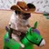 Captain Levi