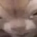 GRiFFiNchaRLeS