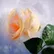 Madansaireddy