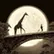 Ynarif