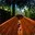 dLx-