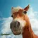 Gerald