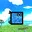 Flisk
