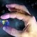 Rudolph