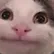 DrPepe_TV