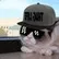 Sir Ice Cat